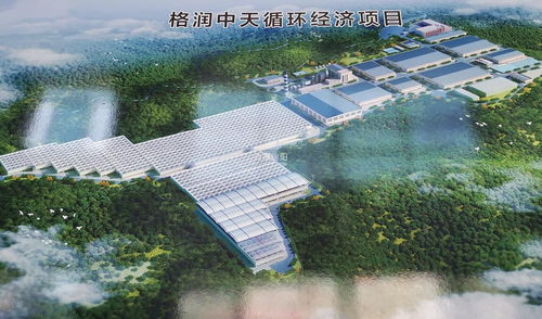 盐亭新型环保项目即将竣工，年处置6.6万吨固废物助推绿色发展